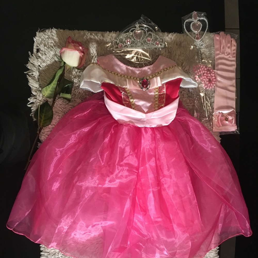 Toddler Sleeping Beauty Dress with accessories
